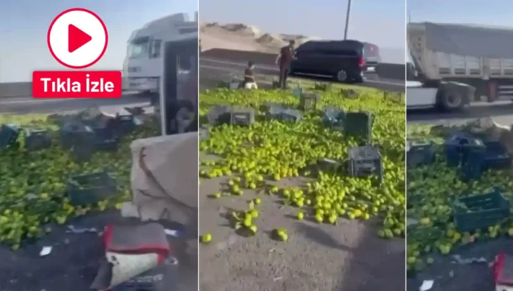 Gaziantep’te kamyon devrildi! Mandalinalar yola saçıldı.