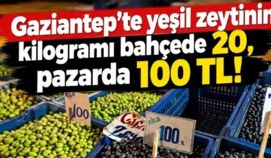 Gaziantep’te ‘YEŞİL ZEYTİN’ oyunu! Tarlada 20 TL…