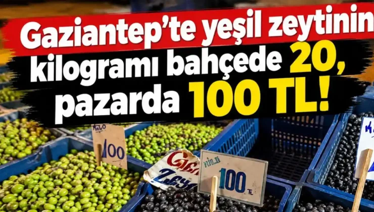 Gaziantep’te ‘YEŞİL ZEYTİN’ oyunu! Tarlada 20 TL…