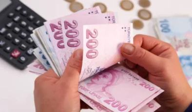 Vatandaşlık maaşında kriterler belli oluyor