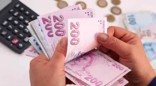 Vatandaşlık maaşında kriterler belli oluyor